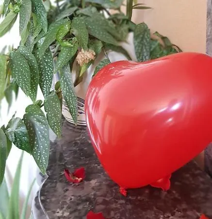 L'etoile Et Le Merveilleux 2 * ディジョン