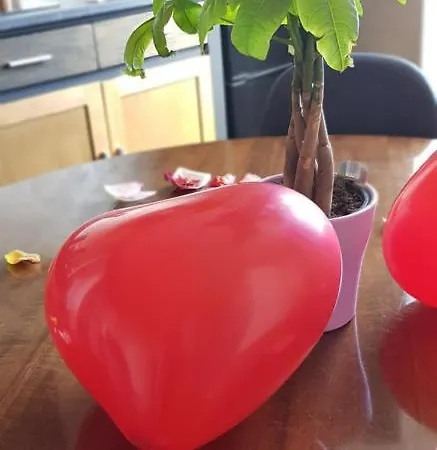 L'etoile Et Le Merveilleux 2 Appartement Dijon