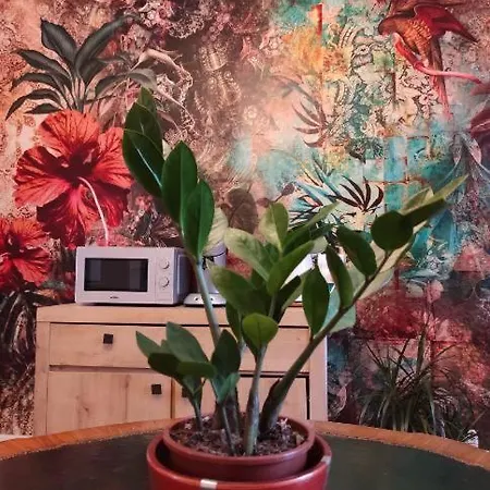 L'etoile Et Le Merveilleux 2 * ディジョン