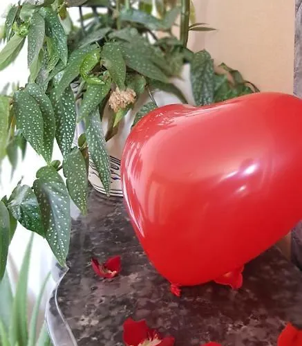 L'etoile Et Le Merveilleux 2 * Dijon