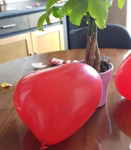 L'etoile Et Le Merveilleux 2 アパート ディジョン