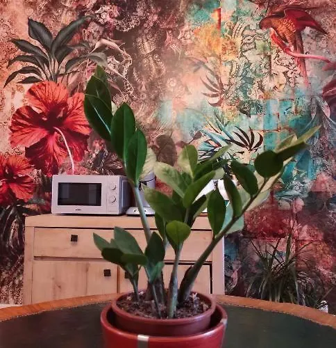 L'etoile Et Le Merveilleux 2 * Dijon